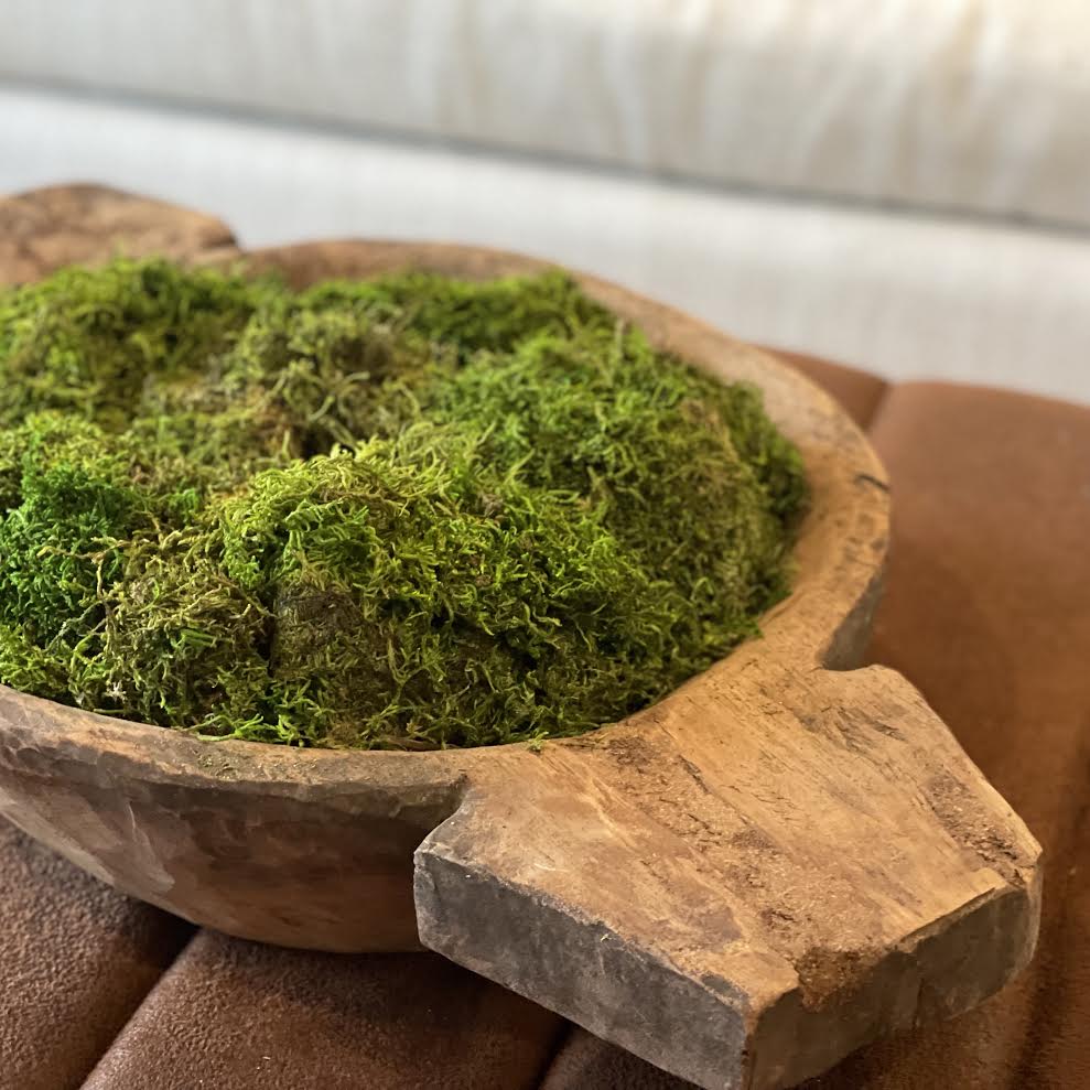 Easy DIY Preserved Moss Bowl
